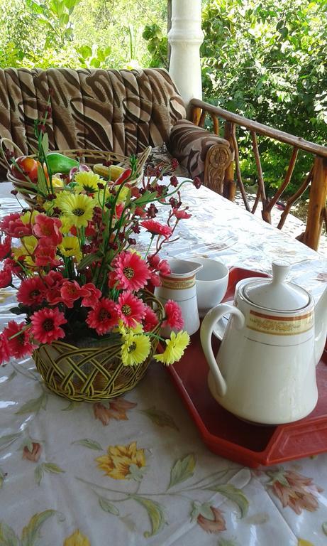 Tunnel Gap Homestay Ella Zewnętrze zdjęcie