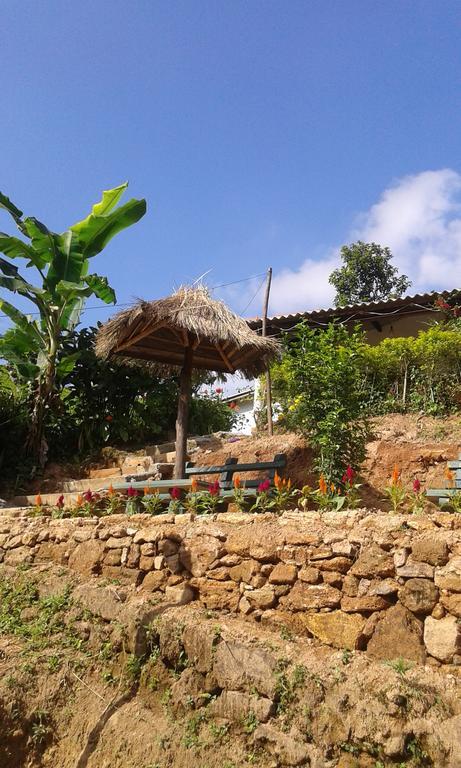 Tunnel Gap Homestay Ella Zewnętrze zdjęcie